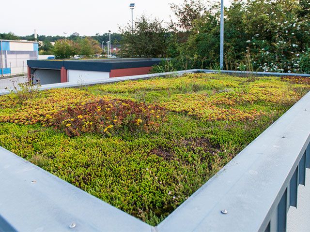 Groen dak met metalen reling. Op de achtergrond gebouwen en bomen onder een grijze hemel.