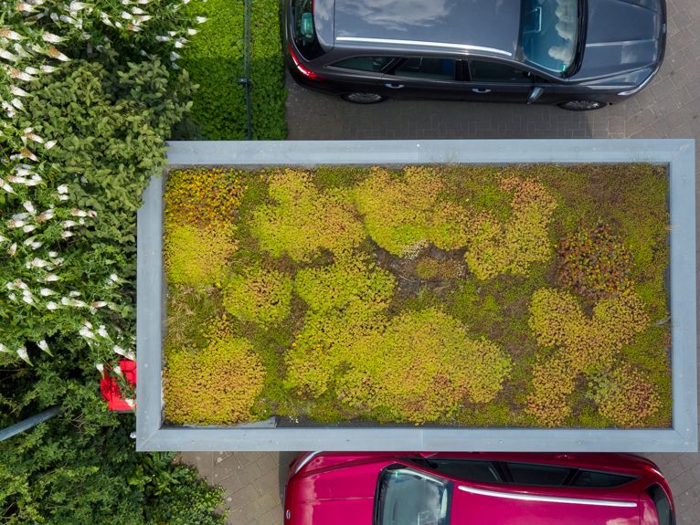 Luchtfoto van twee auto's, een groen dak en bomen. Het dak is begroeid met vegetatie.