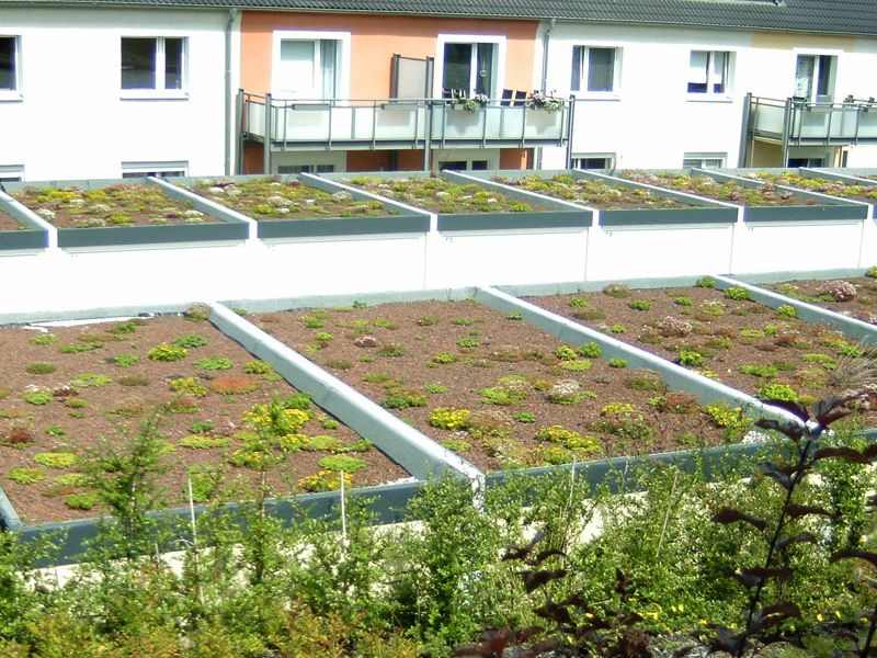 Gebouw met platte daken, ingericht als groene ruimtes. In de voorgrond struiken en planten.